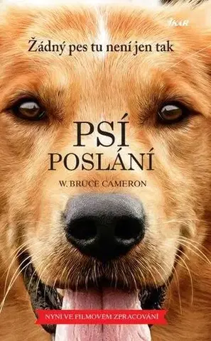 Romantická beletria Psí poslání - W. Bruce Cameron