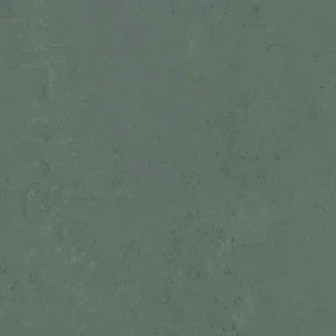 Marmoleum solid concrete FORBO Marmoleum solid concrete Taiga 3752