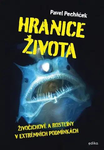 Encyklopédie pre deti a mládež - ostatné Hranice života - Pavel Pecháček