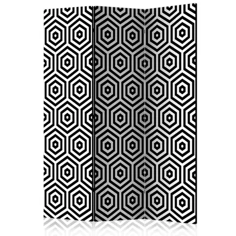 Paravány Paraván Black and White Hypnosis Dekorhome