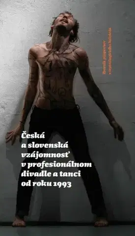 Divadlo - teória, história,... Česká a slovenská vzájomnosť v profesionálnom divadle a tanci od roku 1993 - Kolektív autorov