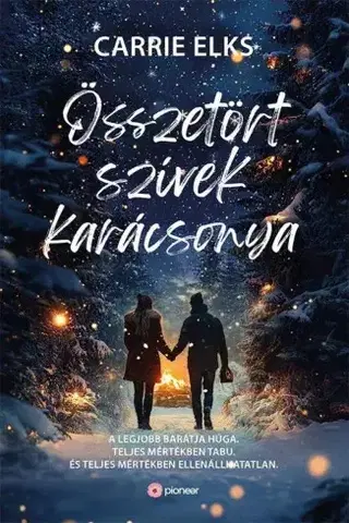 Romantická beletria Összetört szívek karácsonya - Carrie Elks