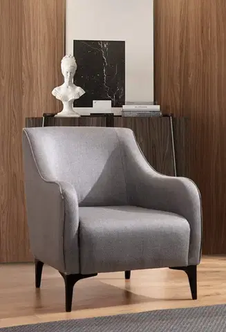 Kreslá Kreslo ušiak Belissimo - Grey