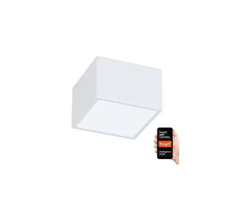 Svietidlá  NEO 07072L-15 - LED Stmievateľné svietidlo CANTO LED/12W/230V biela 07072L-15