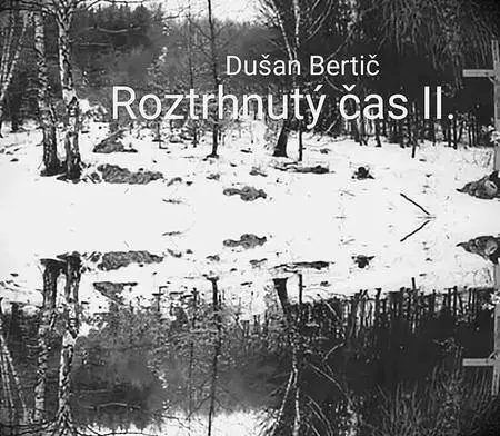 Detektívky, trilery, horory Roztrhnutý čas II. - Dušan Bertič
