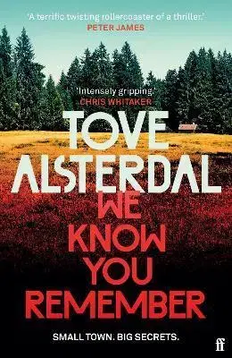 Detektívky, trilery, horory We Know You Remember - Tove Alsterdal,Alice Menzies