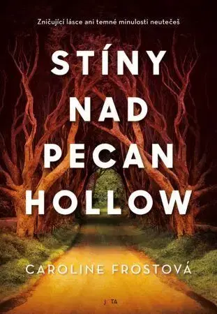 Svetová beletria Stíny nad Pecan Hollow - Caroline Frostová