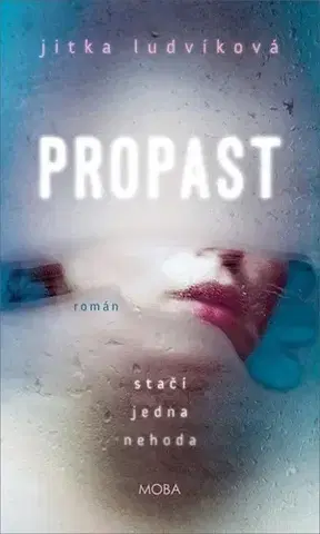 Detektívky, trilery, horory Propast - Jitka Ludvíková