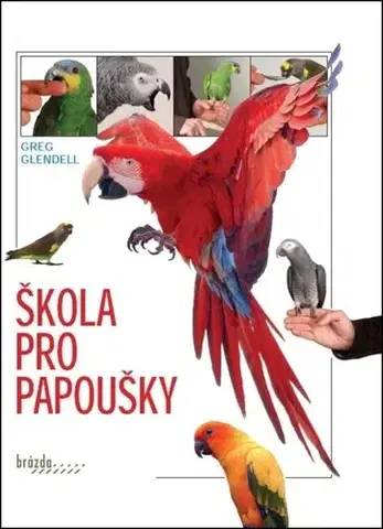 Vtáky, hydina Škola pro papoušky, 3. vydání - Greg Glendell