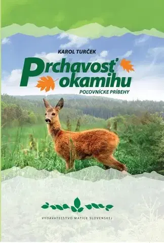 Slovenská beletria Prchavosť okamihu - Karol Turček