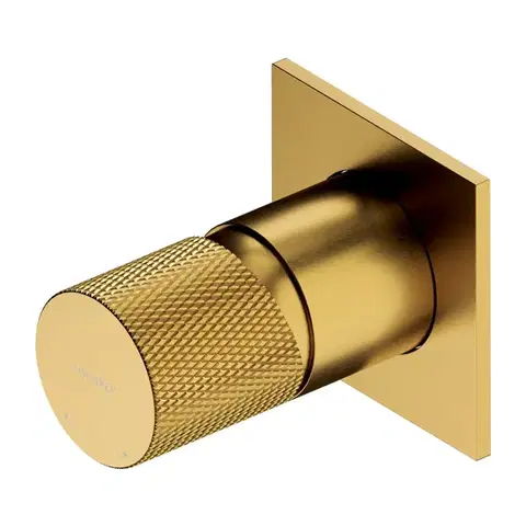 Kúpeľňové batérie OMNIRES - CONTOUR sprchová batéria podomietková zlatá kartáčovaná /GLB/ CT8045GLB