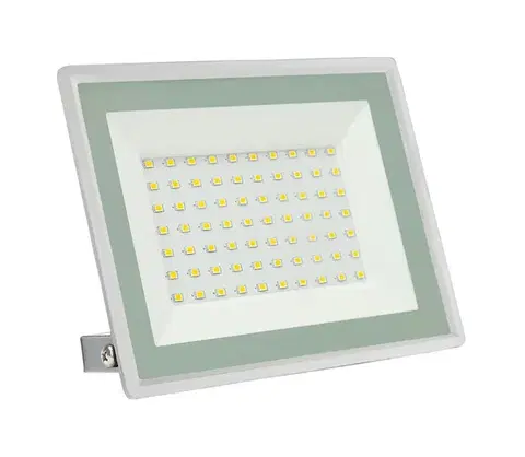 Svietidlá  LED Vonkajší reflektor NOCTIS LUX 3 LED/50W/230V IP65 biela 029055NW_PW
