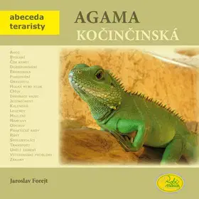 Zvieratá, chovateľstvo - ostatné Agama kočičinská - Jaroslav Forejt