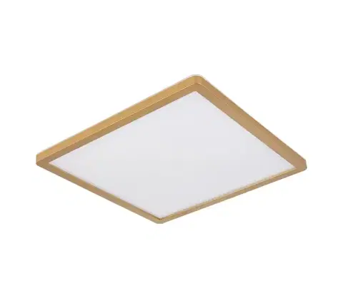 Svietidlá Globo 41563-24MM - LED Stm. strop. svietidlo SAPANA LED/24W/230V IP44 41563-24MM