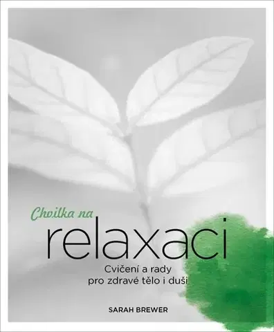 Joga, meditácia Chvilka na relaxaci - Sarah Brewer