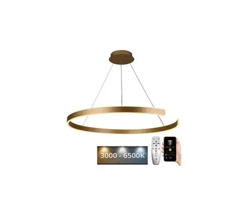 Svietidlá  LED Stmievateľný luster na lanku LED/100W/230V 3000-6500K + diaľkové ovládanie J4327/G