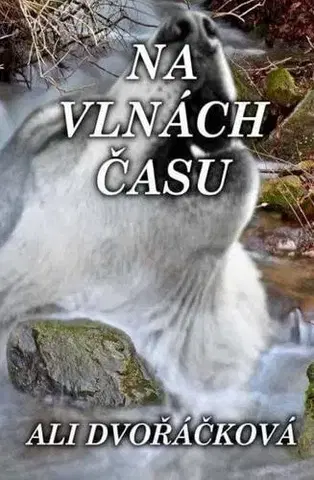 Romantická beletria Na vlnách času - Ali Dvořáčková