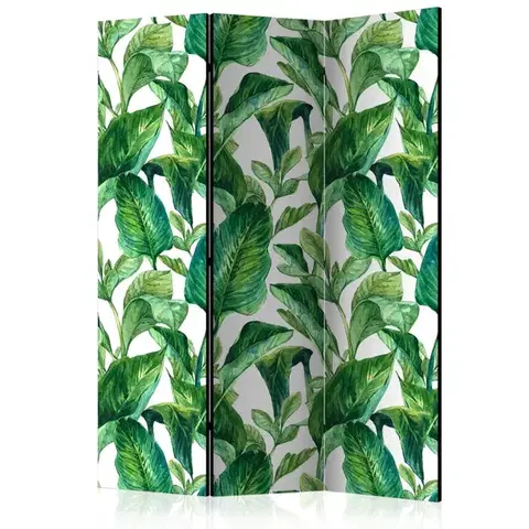 Paravány Paraván Tropical Paradise Dekorhome