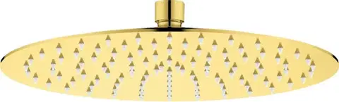 Kúpeľňové batérie DEANTE - Cascada gold Sprchová hlavica, okrúhla - 250 mm NAC_Z10K