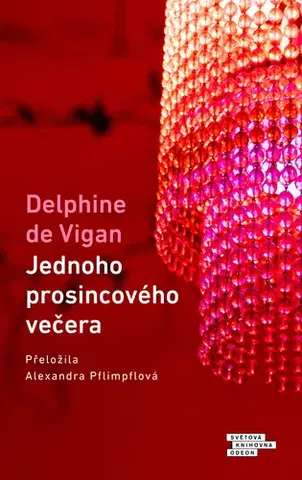 Romantická beletria Jednoho prosincového večera - Delphine de Vigan