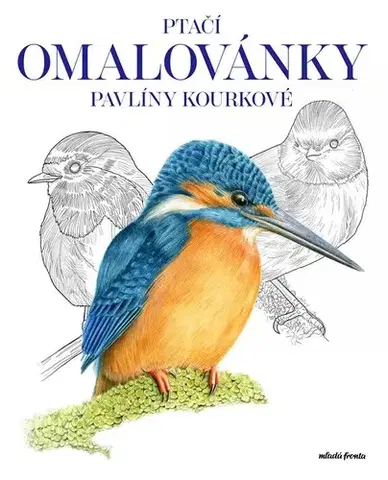 Kreslenie, maľovanie Ptačí omalovánky Pavlíny Kourkové - Pavlína Kourková