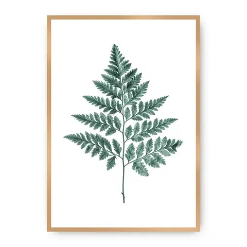 Obrazy Plagát Fern 21 x 30 cm Emerald Green