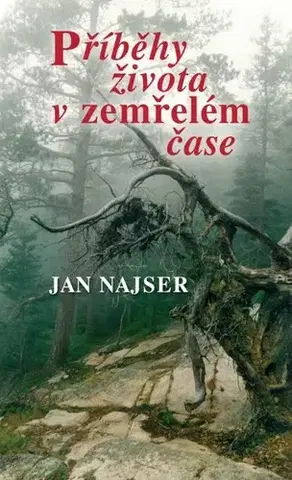 Novely, poviedky, antológie Příběhy života v zemřelém čase - Jan Najser