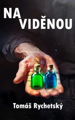 Romantická beletria Na viděnou - Tomáš Rychetský