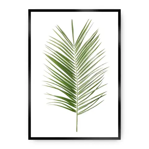 Obrazy Plagát Palm Leaf Green