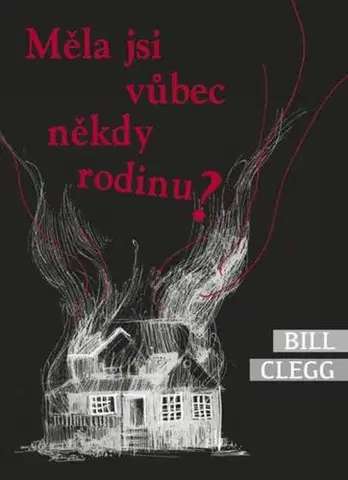Svetová beletria Měla jsi vůbec někdy rodinu? - Bill Clegg