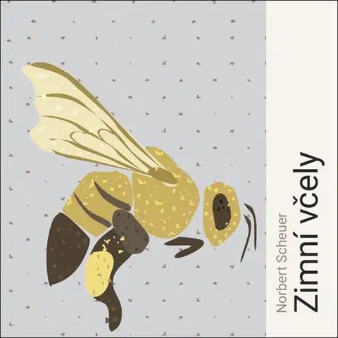 Svetová beletria Tympanum Zimní včely - Audiokniha CD
