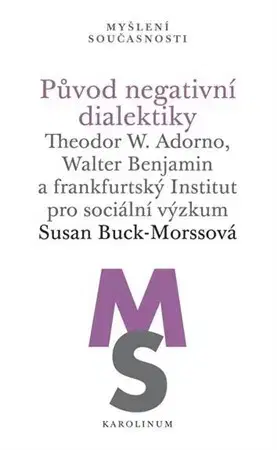 Filozofia Původ negativní dialektiky - Susan Buck-Morssová