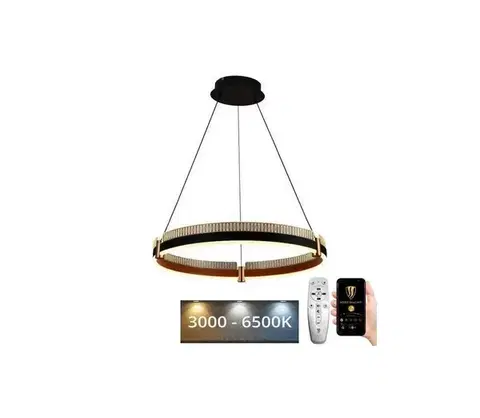 Svietidlá  LED Stmievateľný luster na lanku LED/80W/230V 3000-6500K + diaľkové ovládanie J4333/B