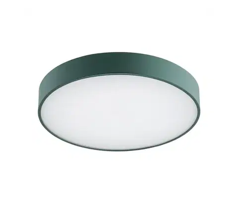 Svietidlá Argon 8335 - LED Stropné svietidlo TIAMO LED/22W/230V 4000K zelená 8335