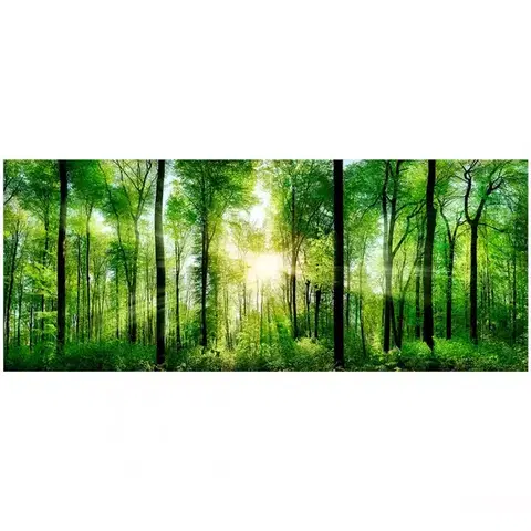 Dekorácie a bytové doplnky Obraz Glas Nature 50x125 EX121 Sunlight