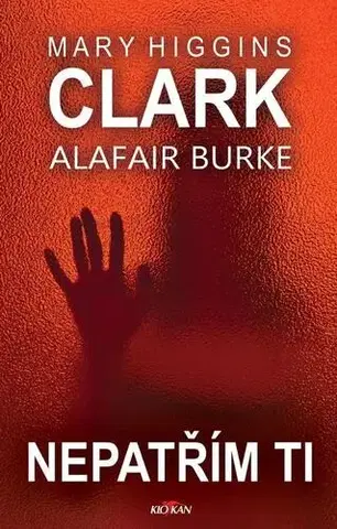 Detektívky, trilery, horory Nepatřím ti - Mary Higgins Clark
