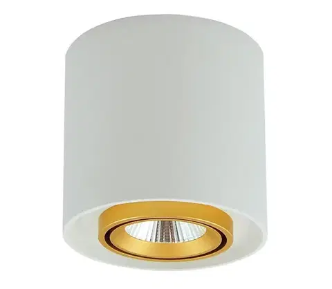Svietidlá  LED Bodové svietidlo XENO LED/15W/230V biela 1200lm 312051
