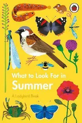 V cudzom jazyku What to Look For in Summer - Elizabeth Jenner,Natasha Durley