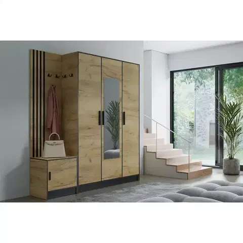 Predsieňový nábytok Predsieňový nábytok Roj PP53 + SDS53 + SZ3D craft