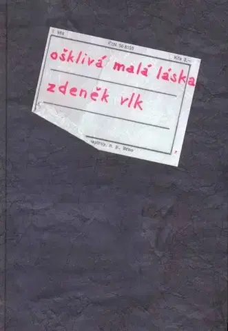 Romantická beletria Ošklivá malá láska - Vlk Zdeněk