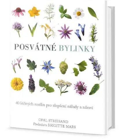 Prírodná lekáreň, bylinky Posvátné bylinky - Opal Streisand
