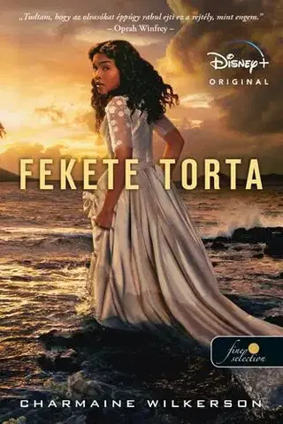 Svetová beletria Fekete torta - Charmaine Wilkerson,Yvette Ruzsicska