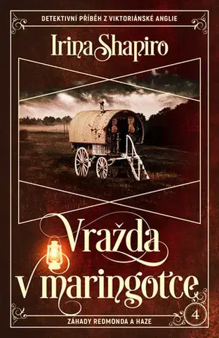 Detektívky, trilery, horory Vražda v maringotce - Irina Shapiro