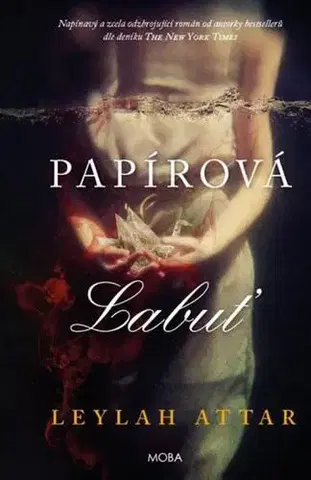 Svetová beletria Papírová labuť - Attar Leylah