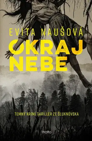 Česká beletria Okraj nebe - Evita Naušová