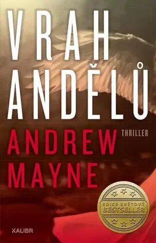 Detektívky, trilery, horory Vrah andělů - Andrew Mayne