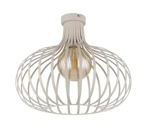 Svietidlá Globo 63370119 - Stropné svietidlo MATEO 1xE27/40W/230V 63370119