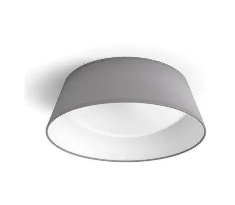 Svietidlá Philips - LED Stropné svietidlo DAWN LED/14W/230V šedá 8718699777371