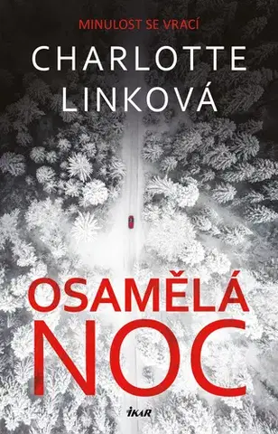 Romantická beletria Osamělá noc - Charlotte Linková