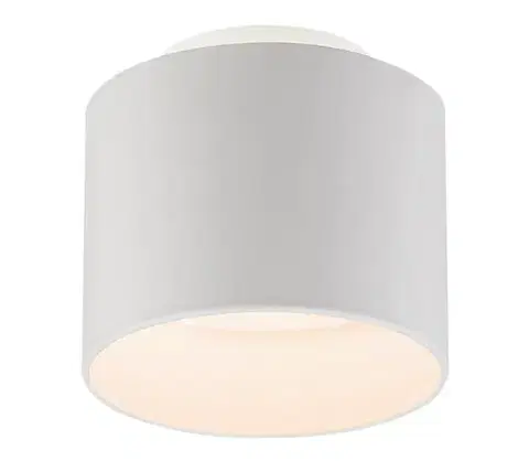 Svietidlá Globo 12015W - LED Stropné svietidlo JENNY LED/8W/230V 12015W